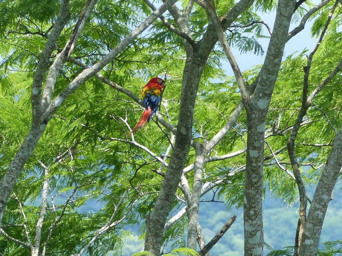 Cabinas Maritza Quebrada Ganado Esterno foto